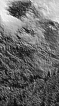 Skamielina