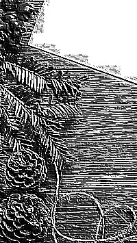 Skamielina