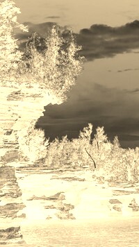 Sepia + Negatyw