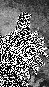 Skamielina