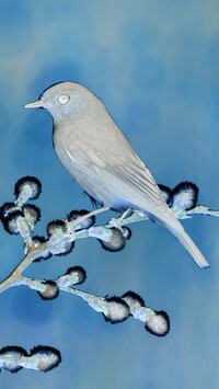 Negatyw
