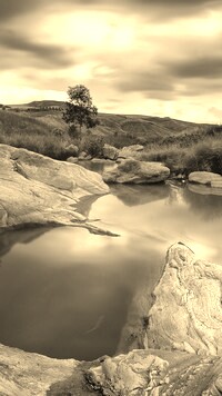 Sepia