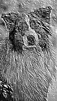 Skamielina