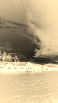 Sepia + Negatyw