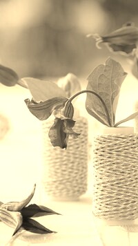 Szary + Sepia