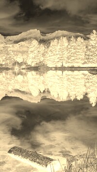 Sepia + Negatyw