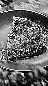 Skamielina