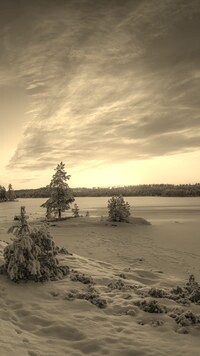 Szary + Sepia