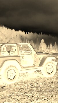 Sepia + Negatyw