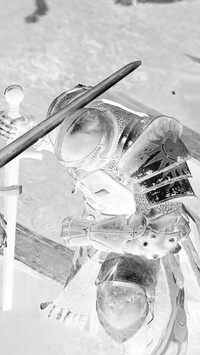Szary + Negatyw