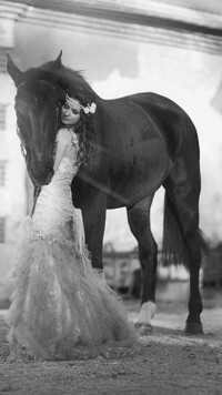 Szary