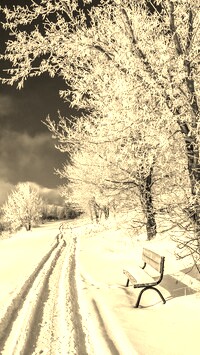 Szary + Sepia