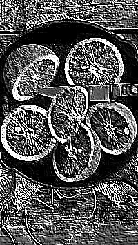 Skamielina