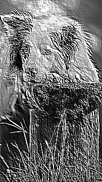 Skamielina