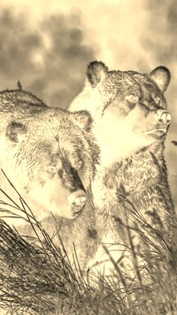 Sepia + Negatyw
