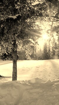 Szary + Sepia