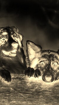 Sepia + Negatyw