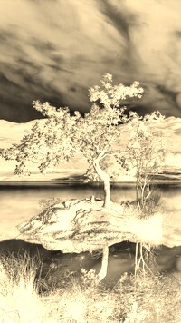 Sepia + Negatyw