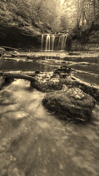 Sepia