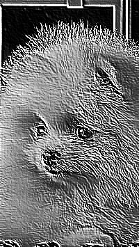Skamielina