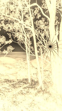 Sepia + Negatyw