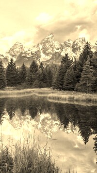 Sepia