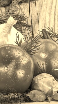 Szary + Sepia