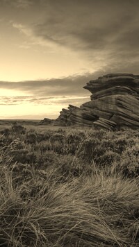Szary + Sepia