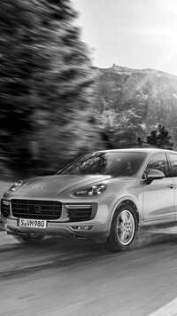 Szary