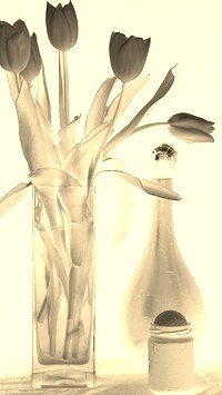 Sepia + Negatyw