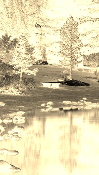 Sepia + Negatyw