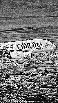 Skamielina