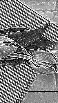 Skamielina