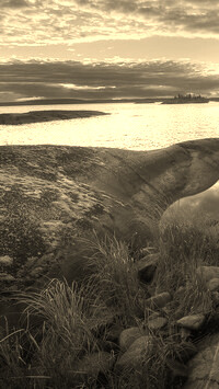 Szary + Sepia