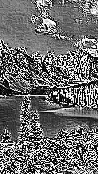 Skamielina