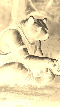 Sepia + Negatyw