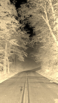 Sepia + Negatyw