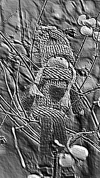 Skamielina