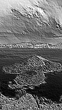 Skamielina