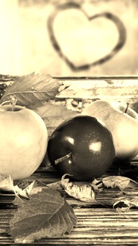 Szary + Sepia