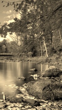 Sepia