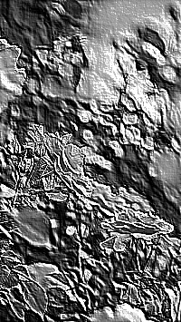 Skamielina