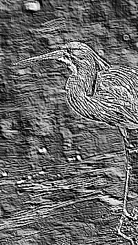 Skamielina