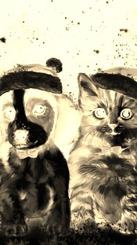 Sepia + Negatyw