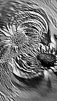Skamielina