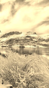 Szary + Sepia