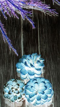 Negatyw