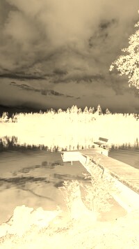 Sepia + Negatyw