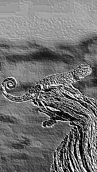 Skamielina
