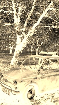 Sepia + Negatyw